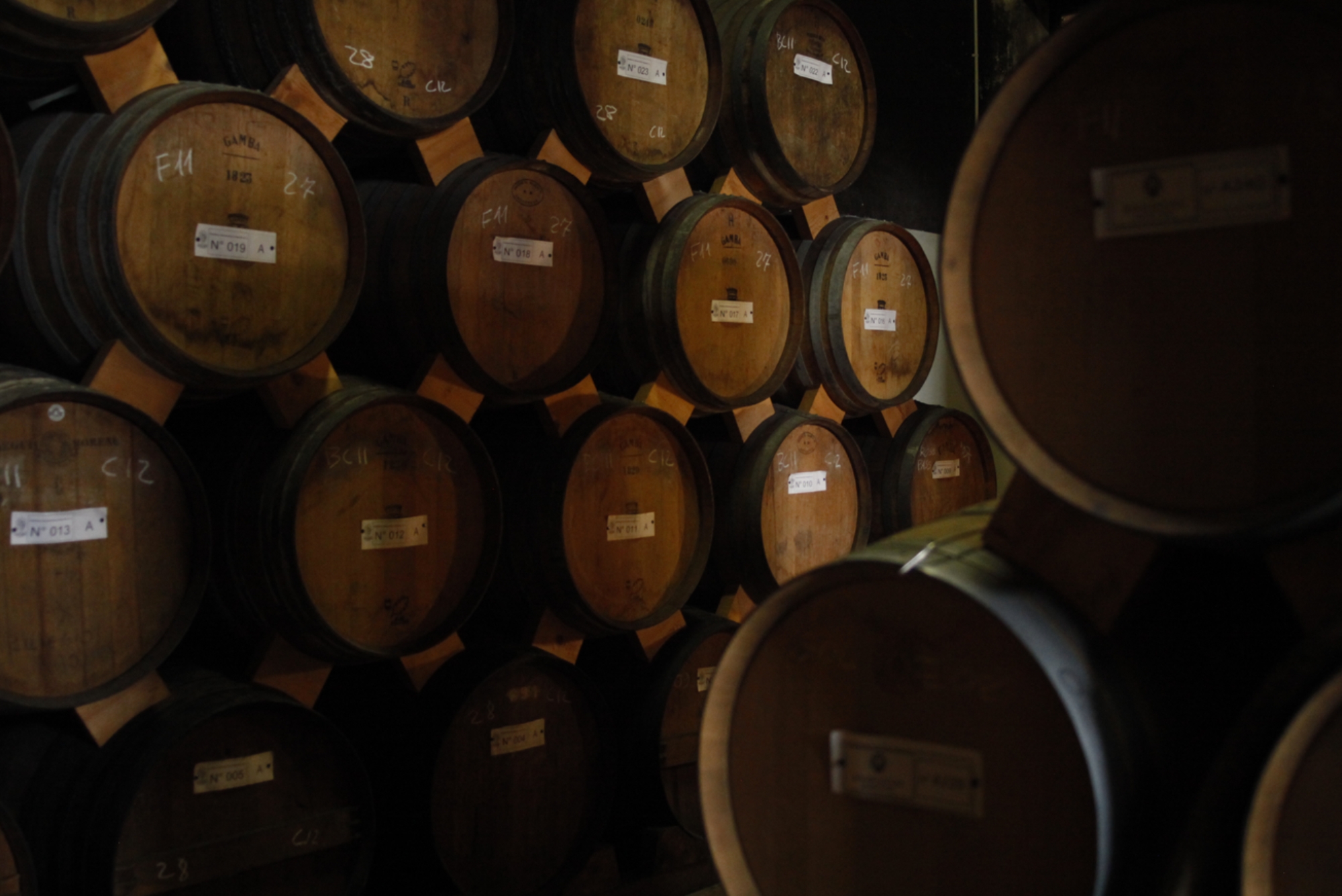 Bonaventura Maschio Cellars