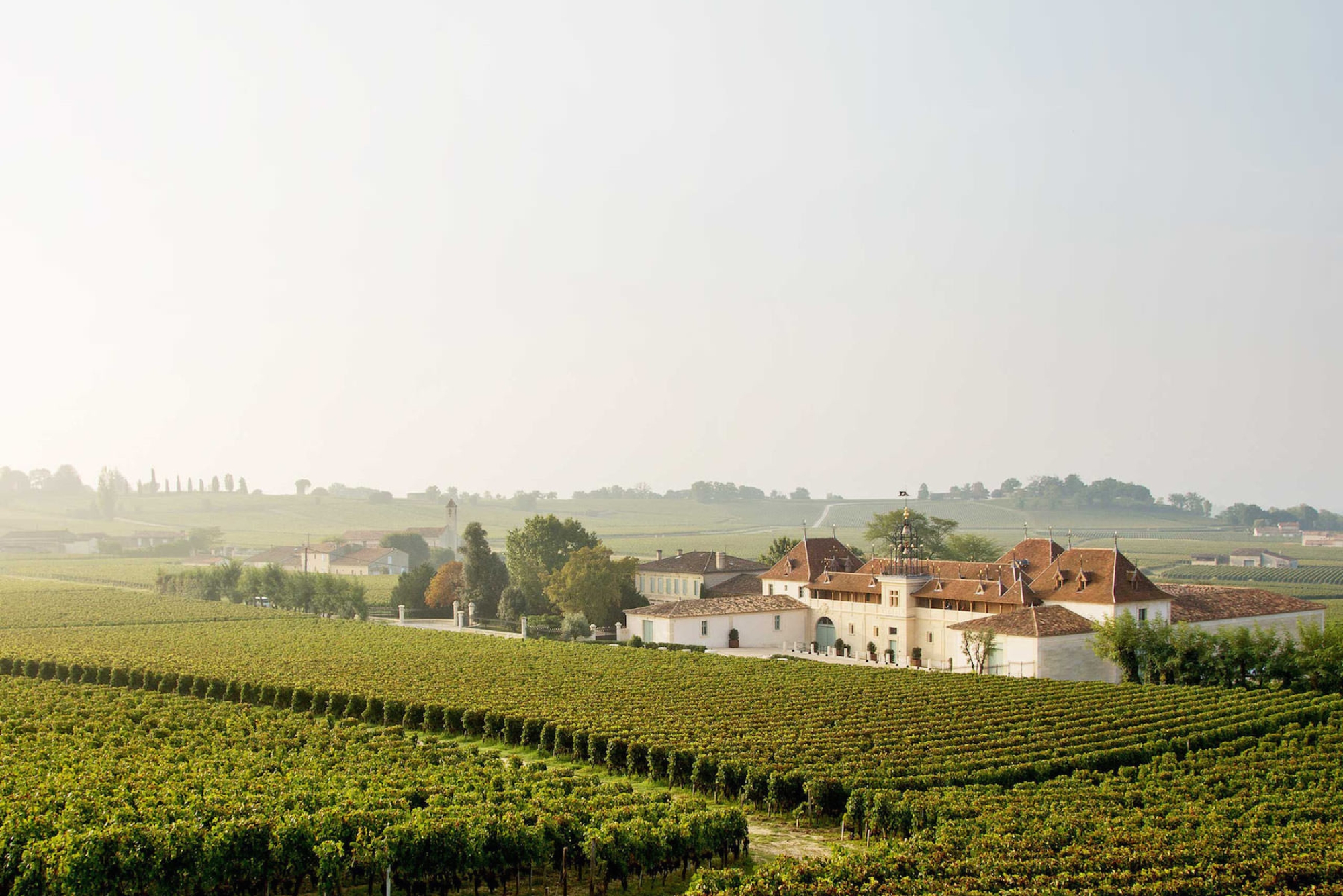 Château Angélus History