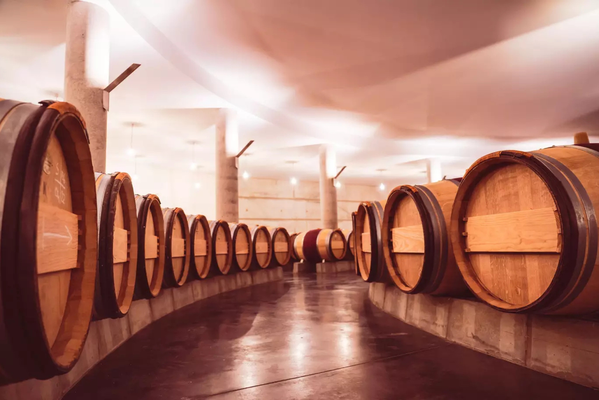 Château L&rsquo;Évangile Cellars