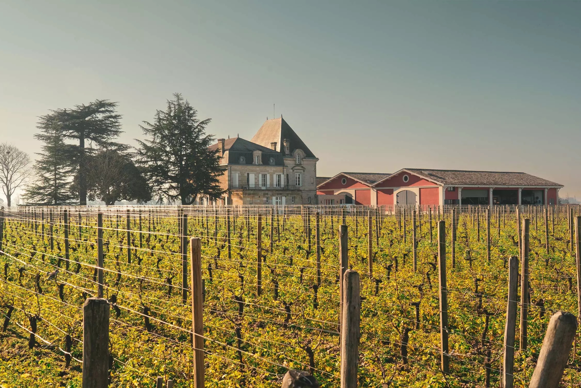 Château L&rsquo;Évangile Vineyards