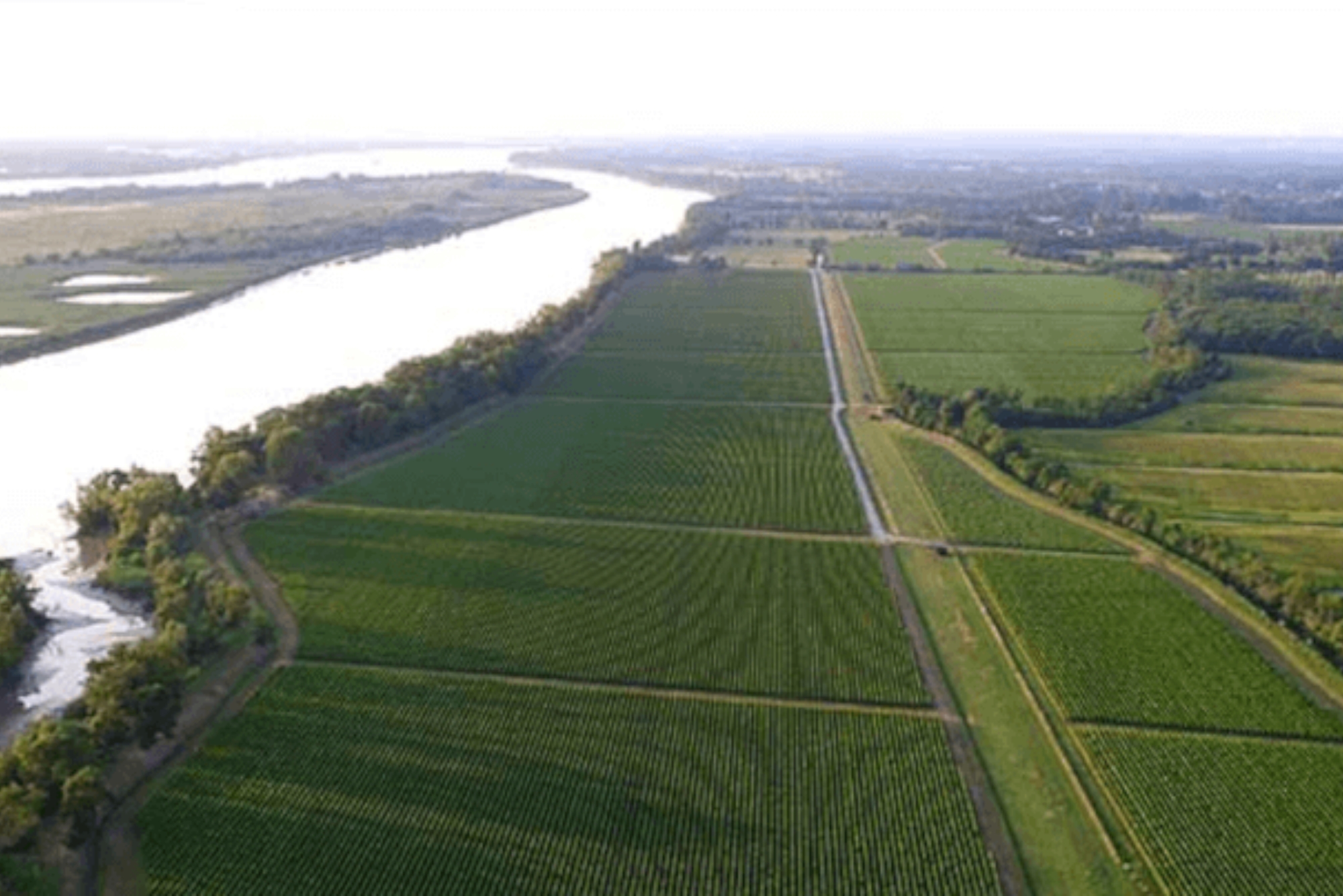 Chateau Monbousquet History