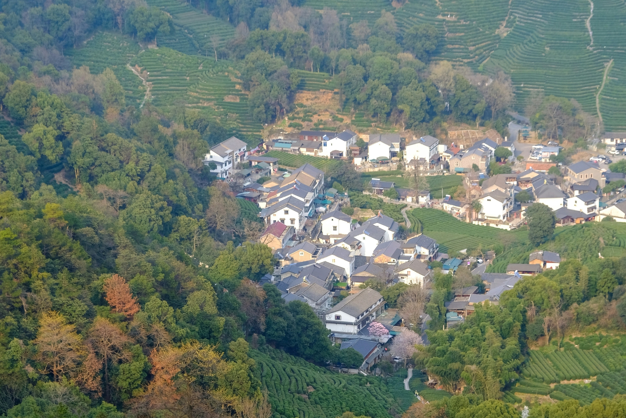 Chateau Petit Village History